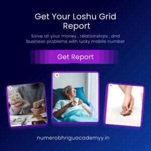 Loshu Grid Report